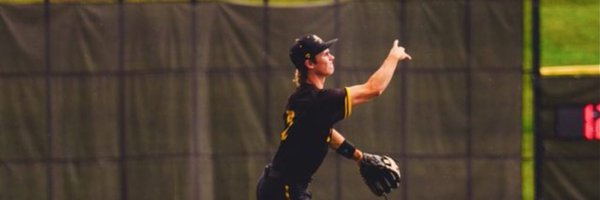 PeterKrumins3 Profile Banner