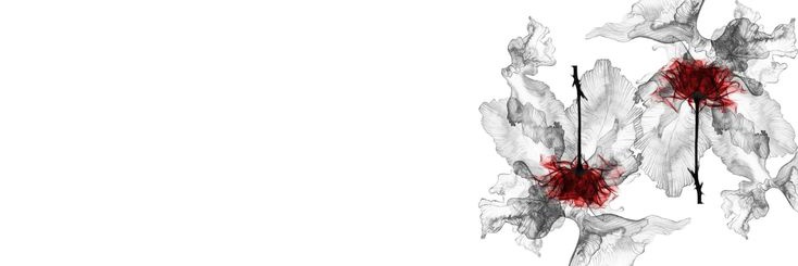 𝗻𝘂𝗸𝗲𝗿 ⁷ ARIRANG 🪭 banner