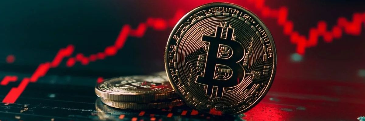 nhtquc8's profile banner image