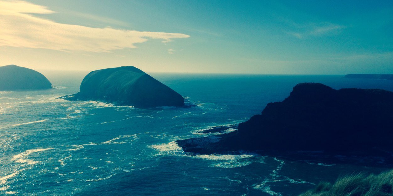 Ruth Forrest MLC banner