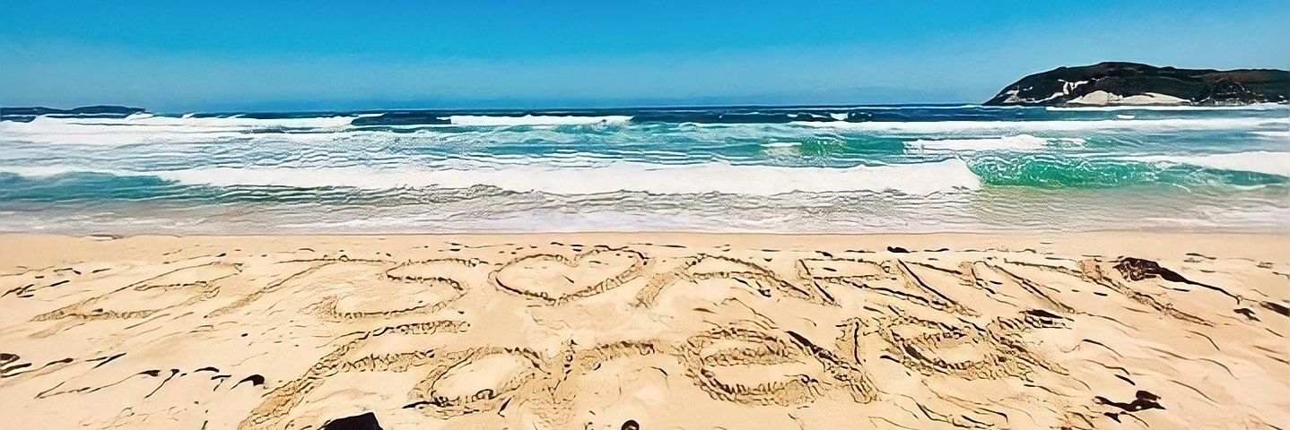 pjmlau's profile banner image