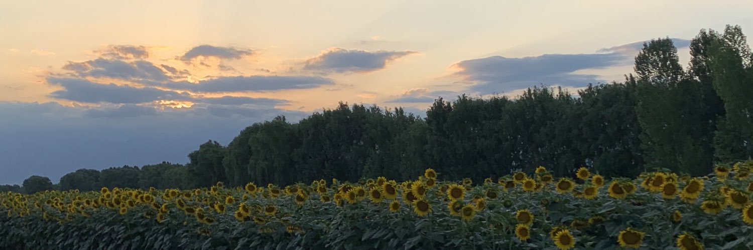 AveiroVictoria's profile banner image
