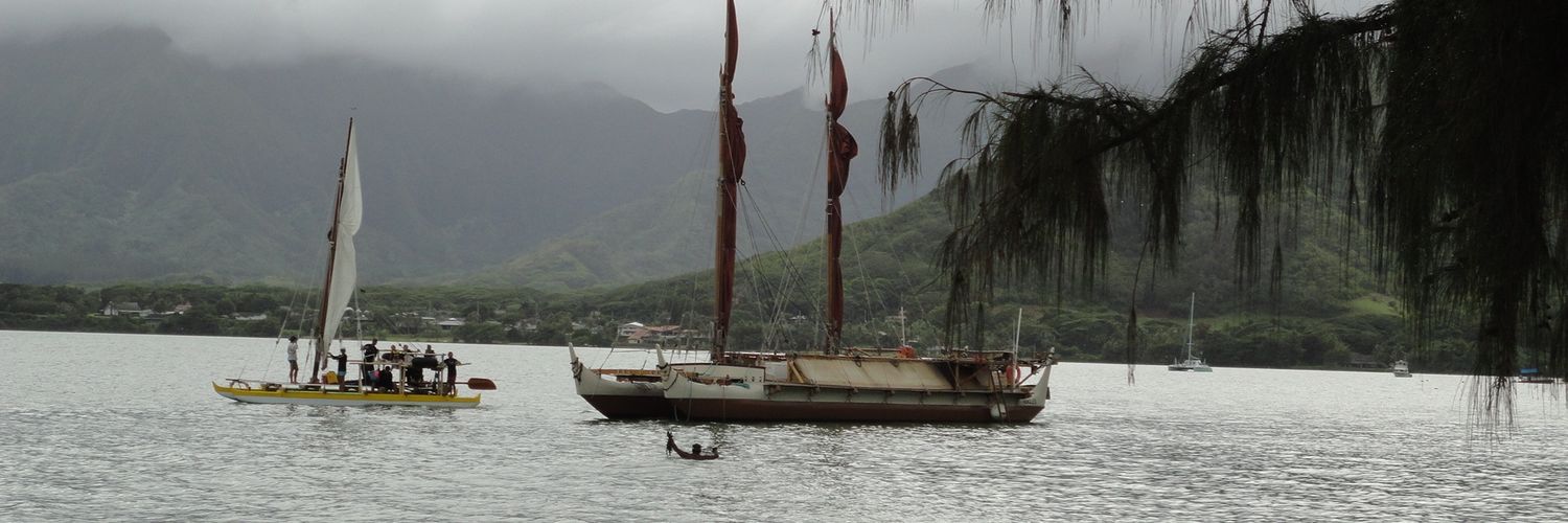 Sandra Lee Adamson🌊 banner