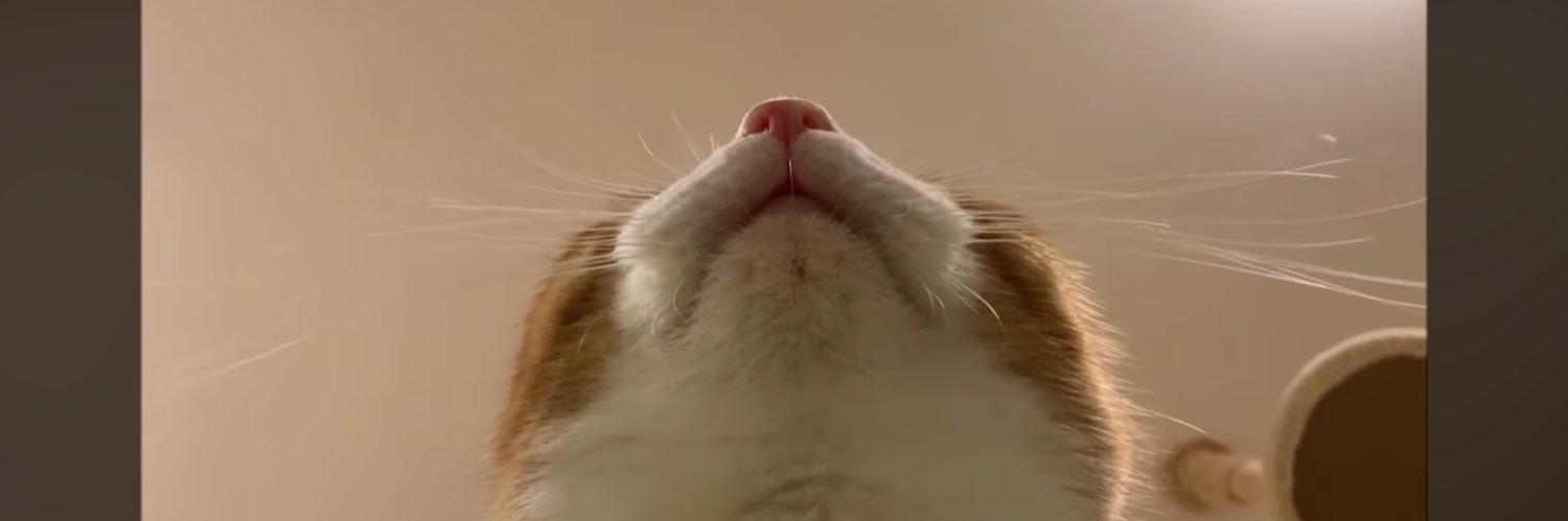 xLovx_'s profile banner image
