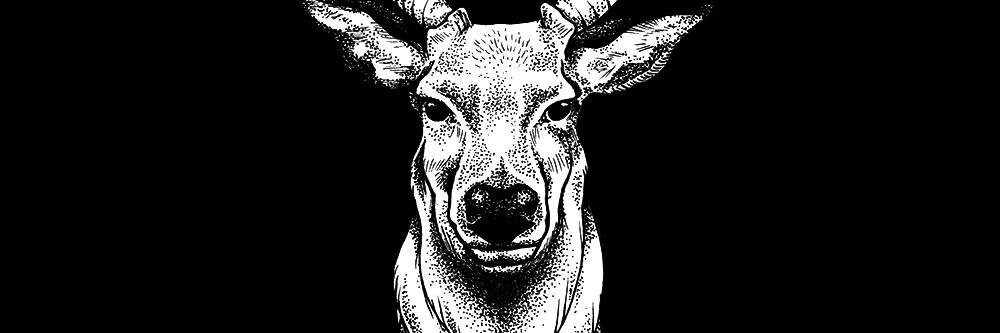 LastDaysofSun's profile banner image