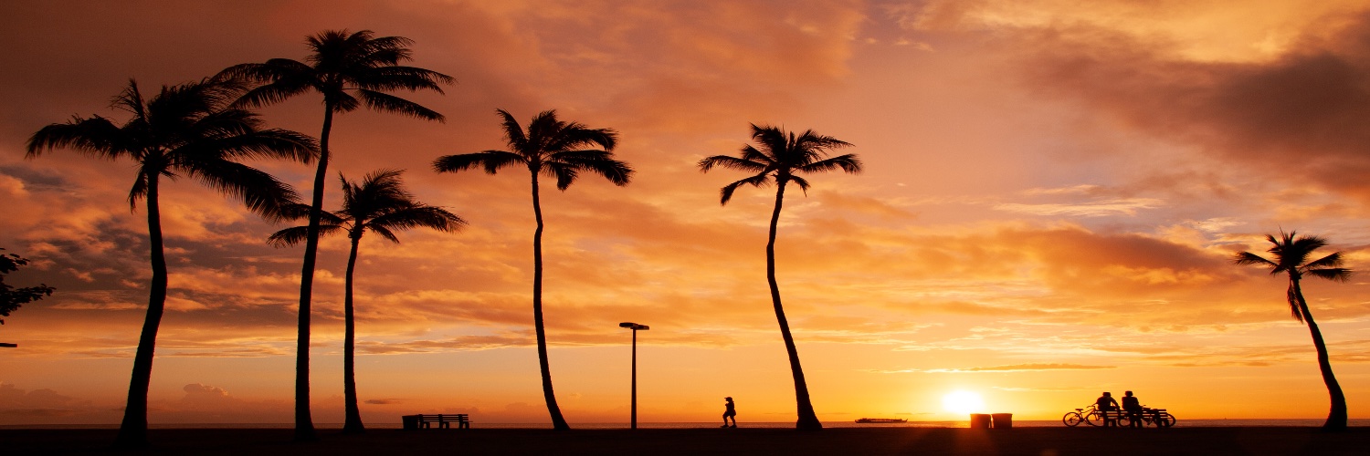PhotographerIto's profile banner image