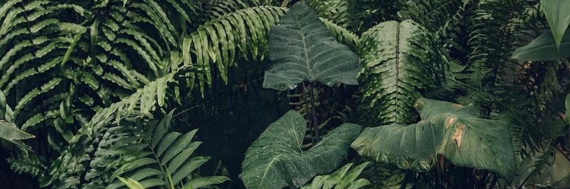 Tylese87's profile banner image