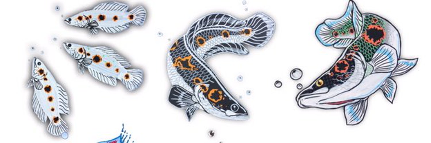 ねお🌗𝕟𝕖𝕠𝕚𝕔𝕖𝕓𝕝𝕦𝕖 banner
