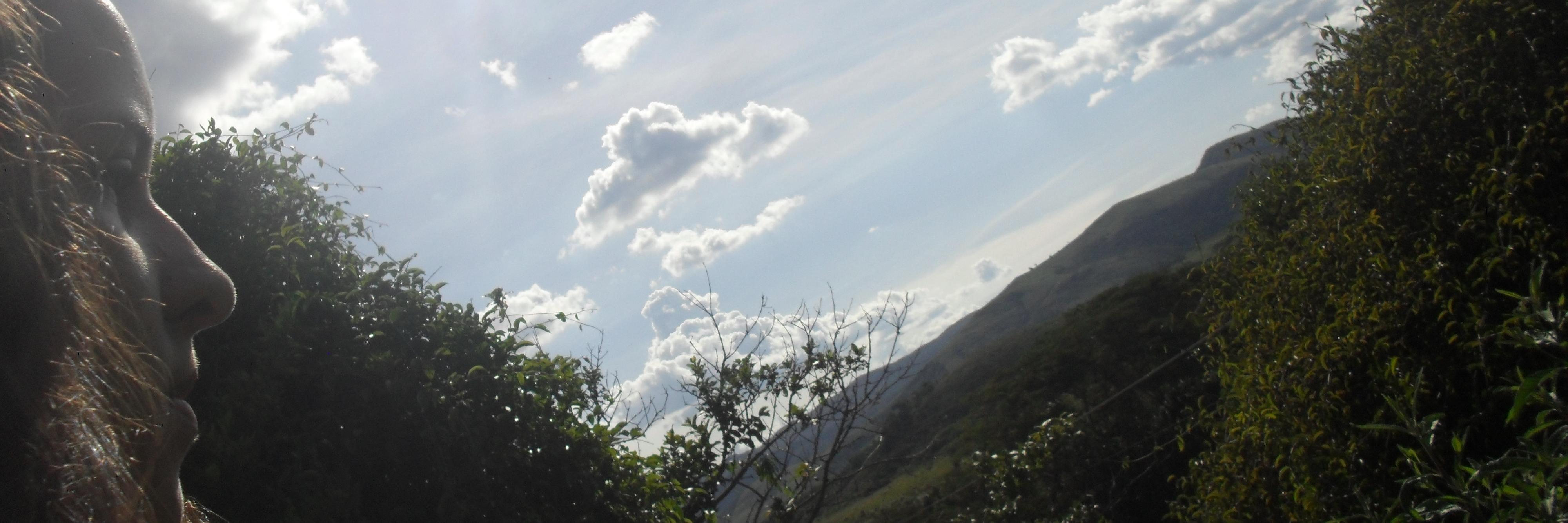 PaulaLSteamo's profile banner image