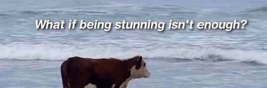 Jackayylyn's profile banner image