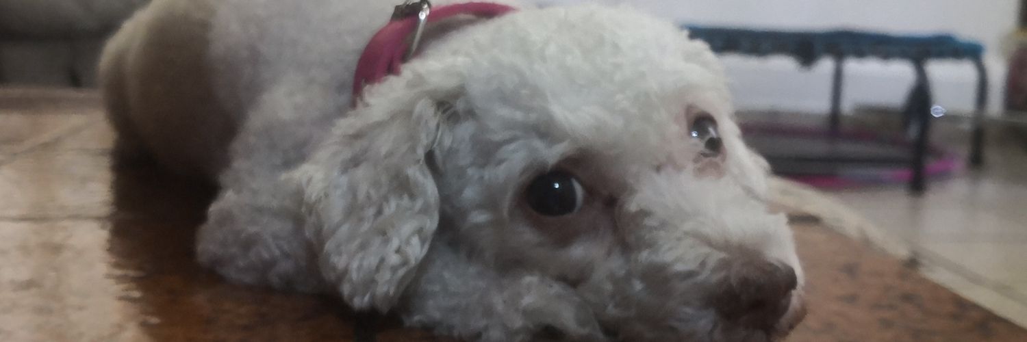 aguah2o4e's profile banner image