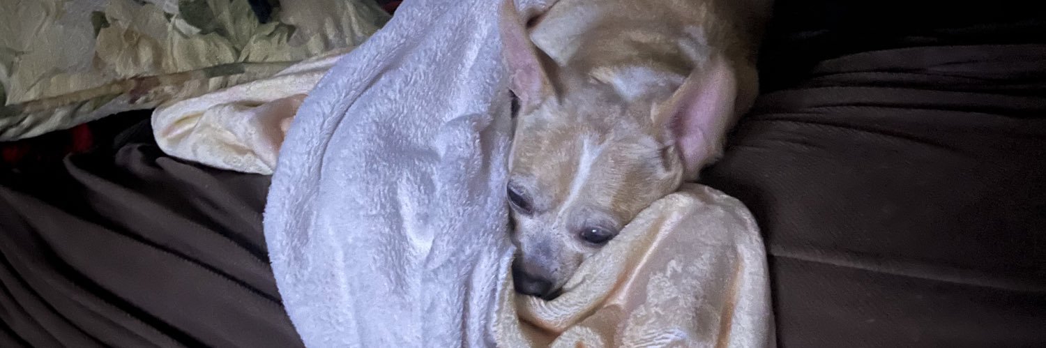 zortexz's profile banner image