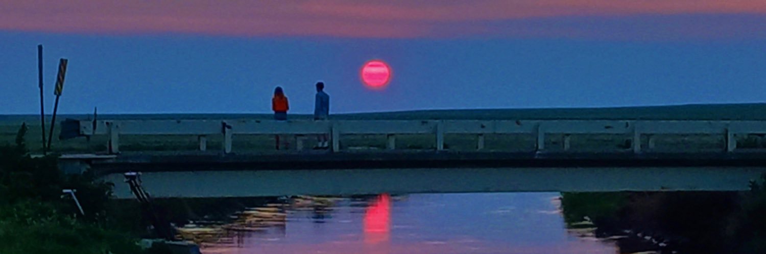 brimarlee's profile banner image