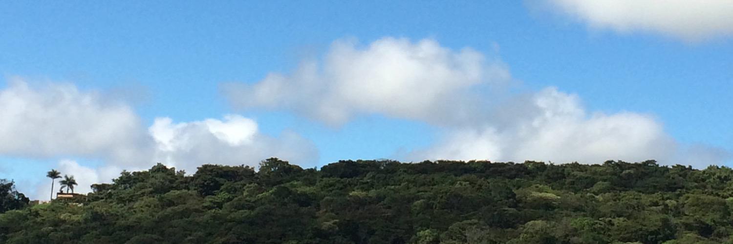 rlccoelho's profile banner image