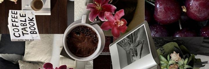 chellyy ｡𖦹°‧ banner