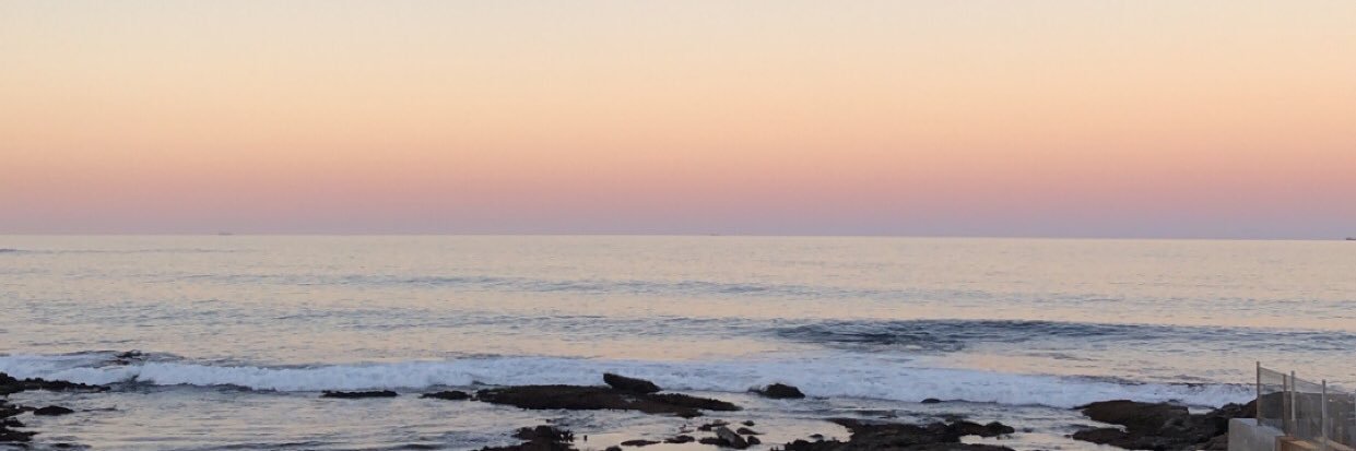 Emma Downey banner