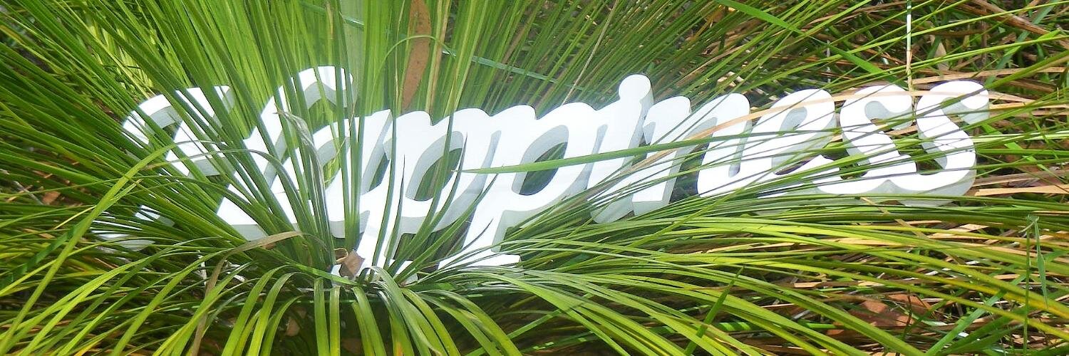ronitbaras's profile banner image