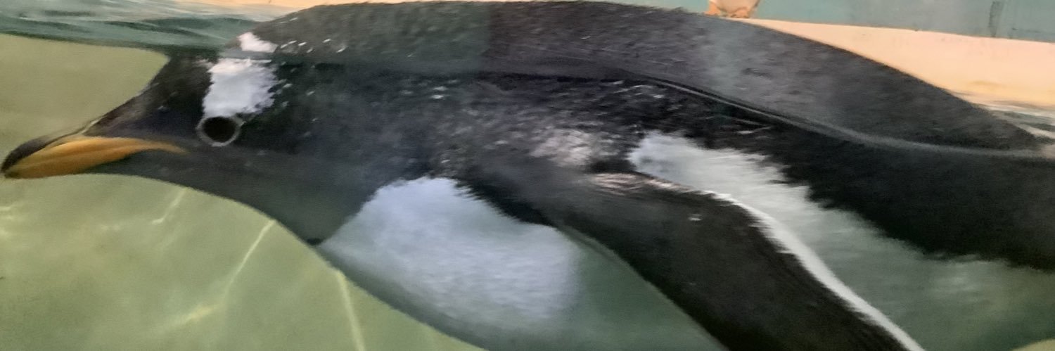 mesiteroo's profile banner image