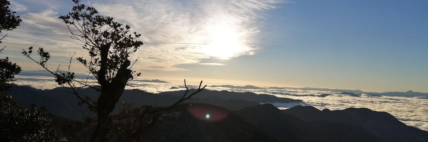 NachoPr31's profile banner image