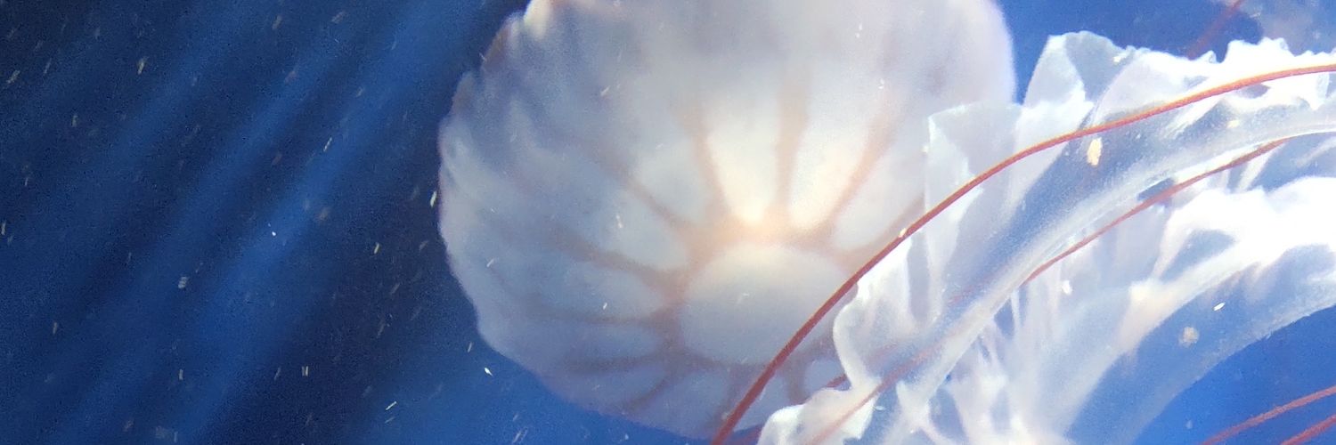 madderled's profile banner image