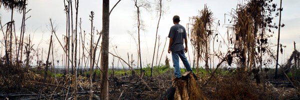 zerotolerancei1 Profile Banner