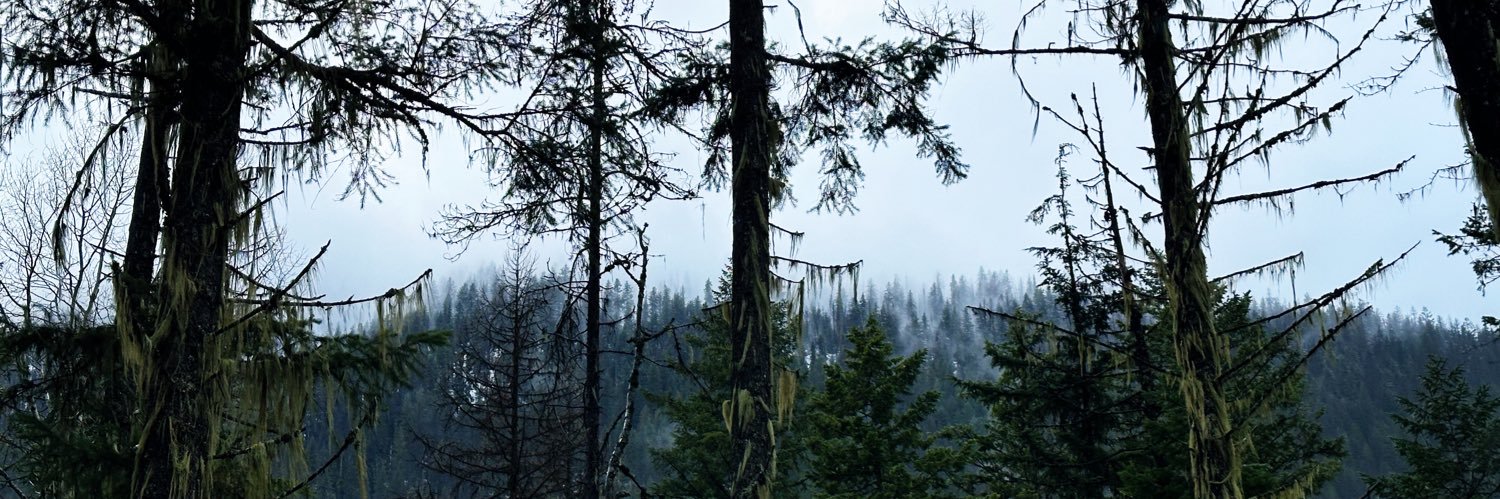 _sb11's profile banner image