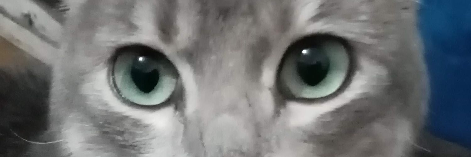 Alexandra Julito🇨🇱 Chilena🇨🇱❤️soy Abuela banner