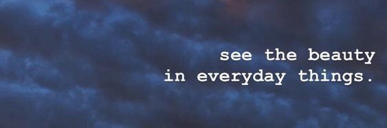 𐙚 ‎ banner