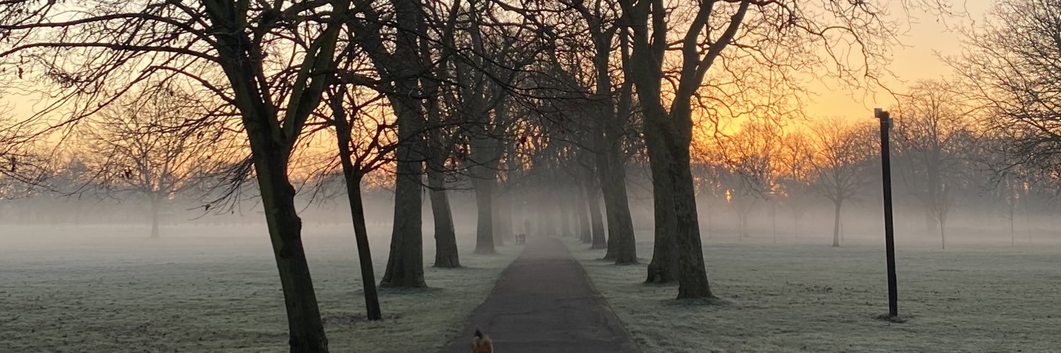 Fiona Stocker (she/her) banner