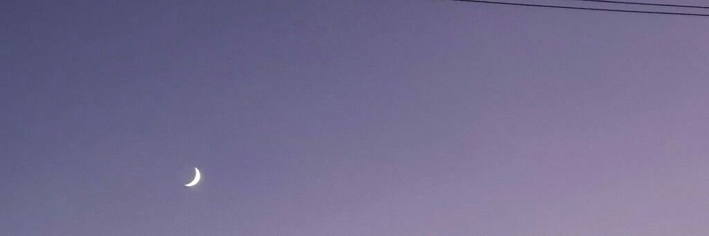 lexisfancams's profile banner image