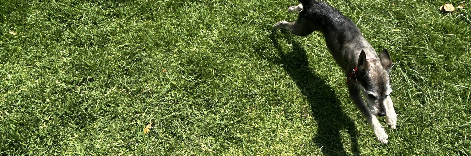 Samm 🍉 banner