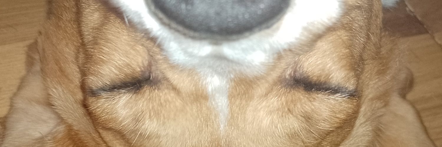 San_Martin___'s profile banner image