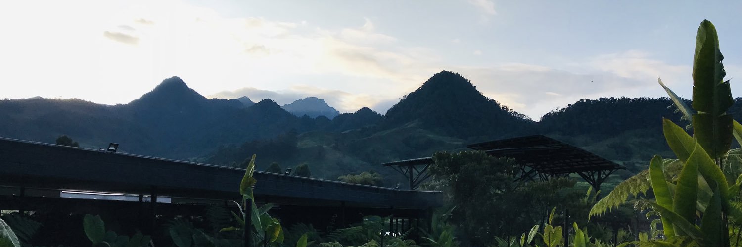 StgMejia's profile banner image