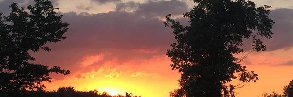 TarynEmily4 Profile Banner