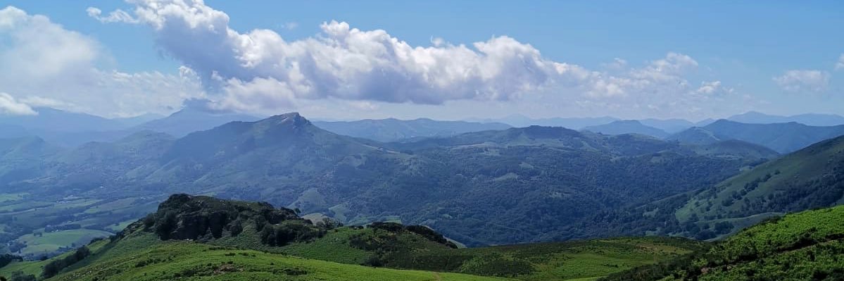 Gabriel Rubio banner