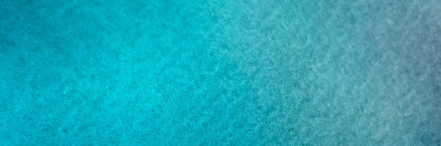 ぎょにく banner