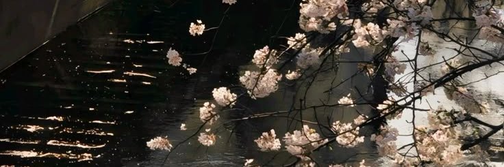 angel 𐙚 banner