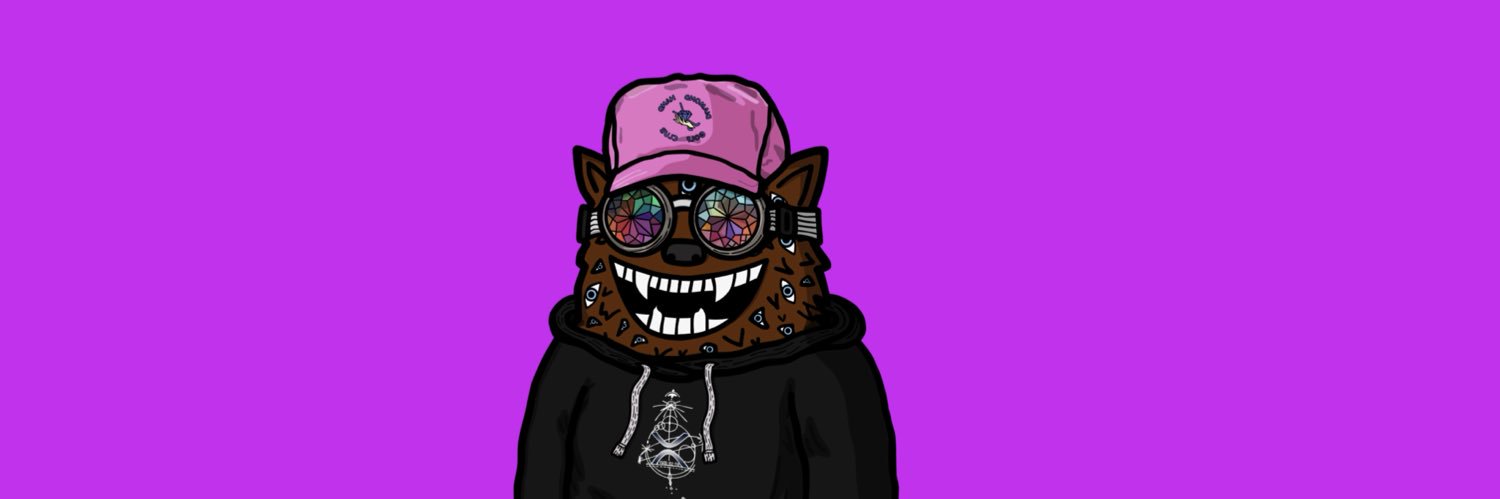 Elaine Shtein banner