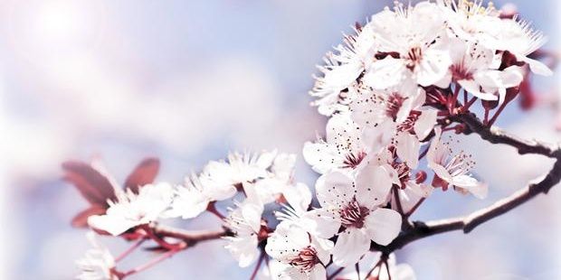 glenispolanco's profile banner image