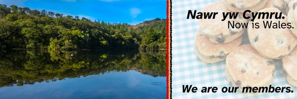 HarmonyOfWales Profile Banner