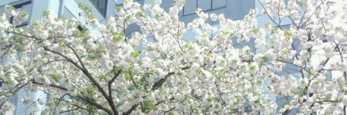 Slope_Poke's profile banner image