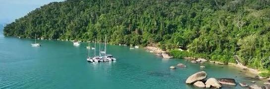 Perpétua. 🇧🇷🇷🇺🇨🇳🇲🇽🇨🇺🇵🇸🇮🇷🇱🇧🇸🇴🇸🇩 banner