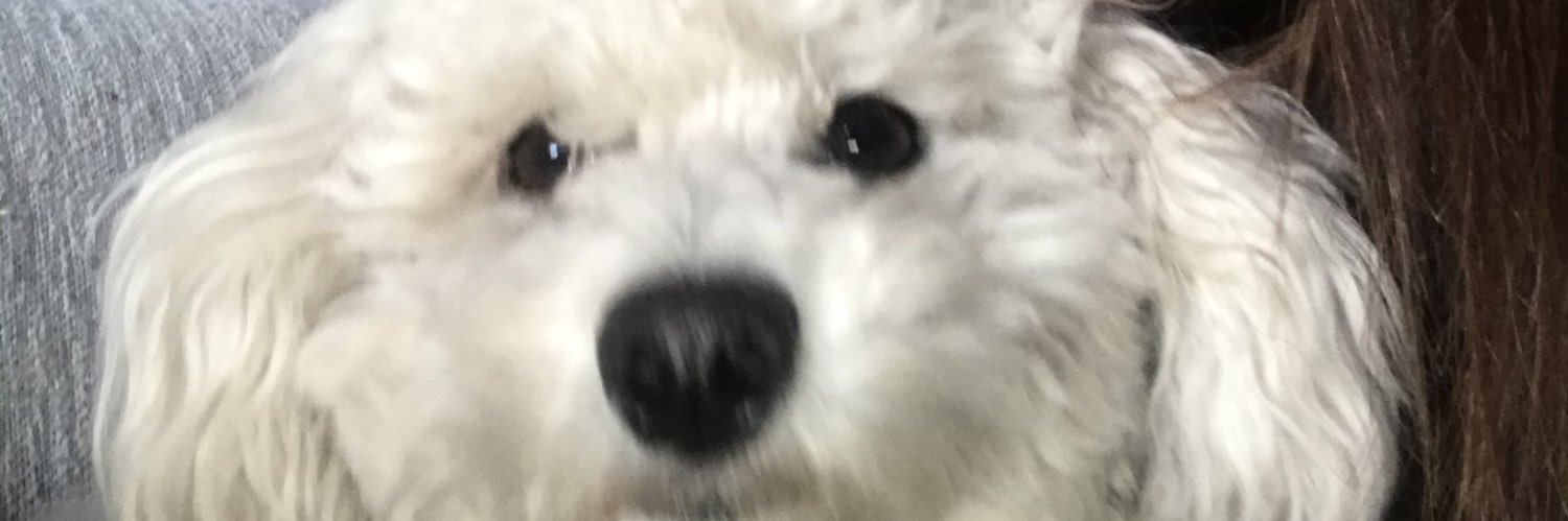vanu3era's profile banner image