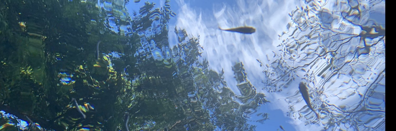 Jason Aguirre banner