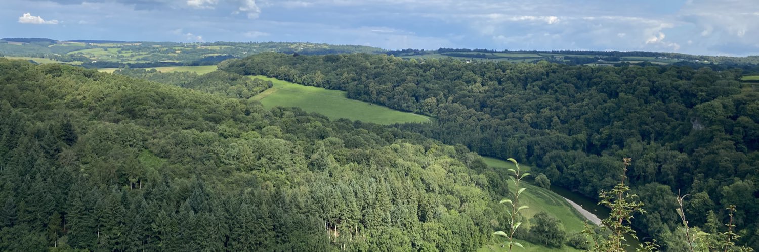 sam wilton banner