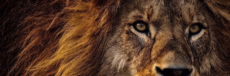 LeylaAnuch's profile banner image