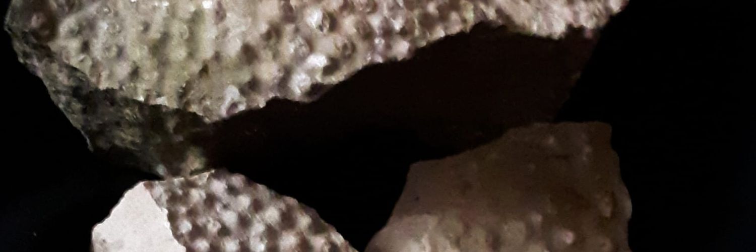 NicholConnie's profile banner image