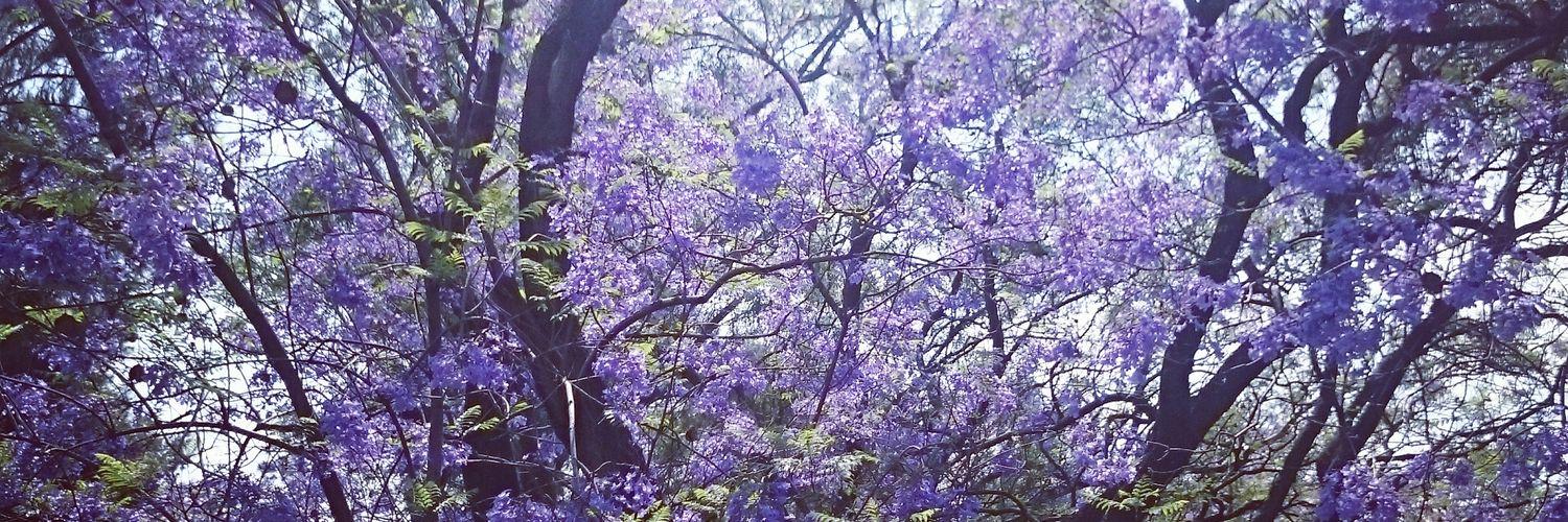 Carlos Barón banner