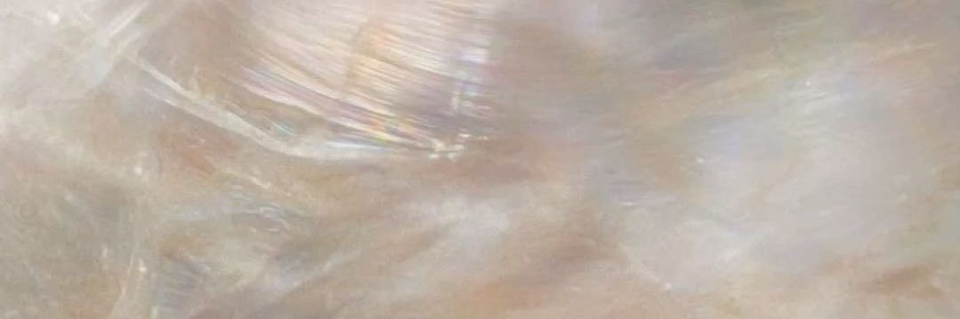 ptrizrth_'s profile banner image