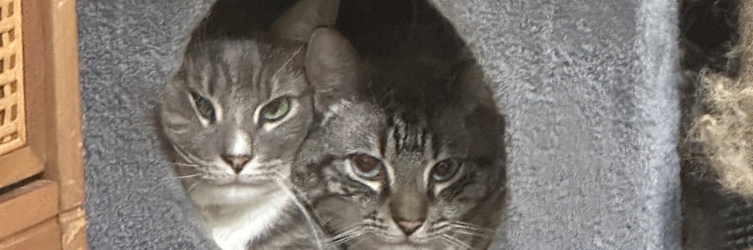 imbennysdad's profile banner image